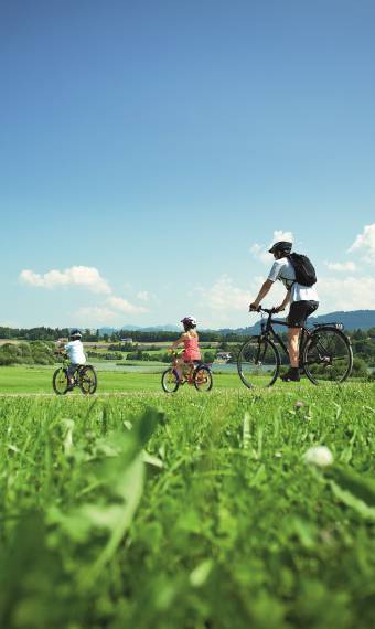 family cycling tour on meadow