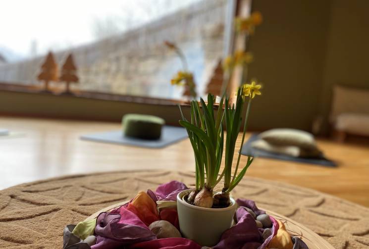 Blumen im Hotel Eggensberger