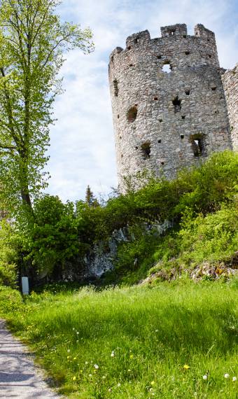 allgäu old castle