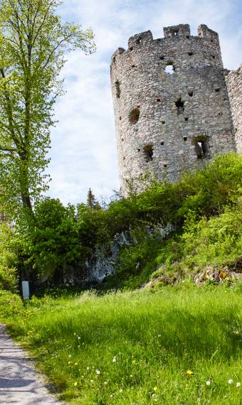 Allgäu Burgruine