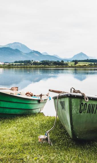 rowing boats in hopfensee