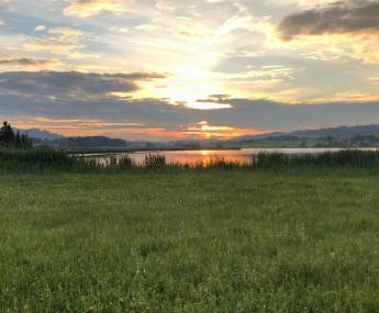 evening at hopfensee