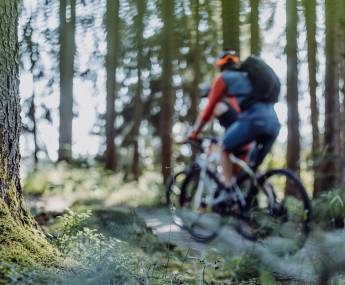 Mountain Biken Wald Kögelweiher