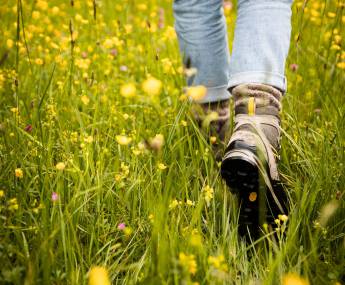 hiking in meadow