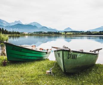 rowing boats in hopfensee