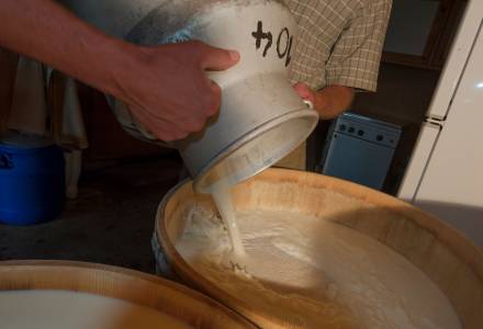 frische Milch Allgäu