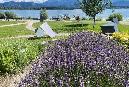 Park Blumen Hopfensee