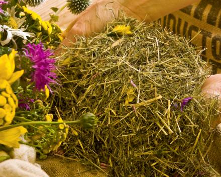 Organic hay for hay sacks