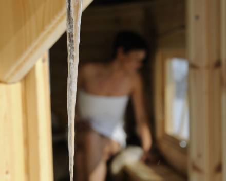 sauna lodge organic hotel