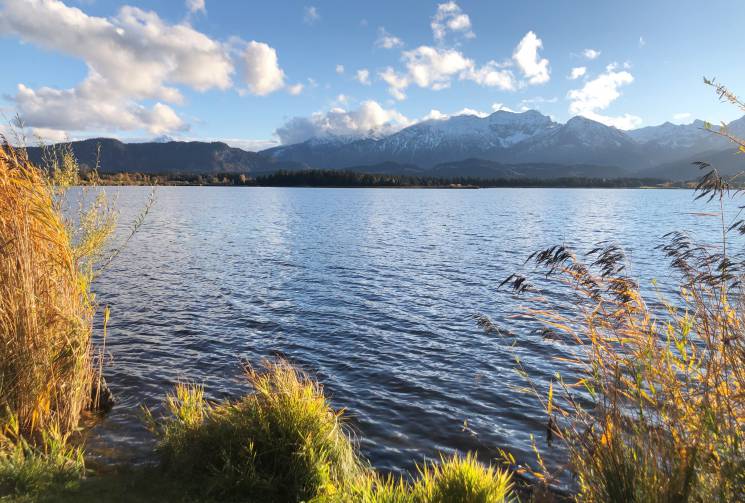 Herbst am See