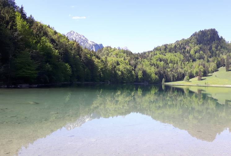 Alatsee Allgäu