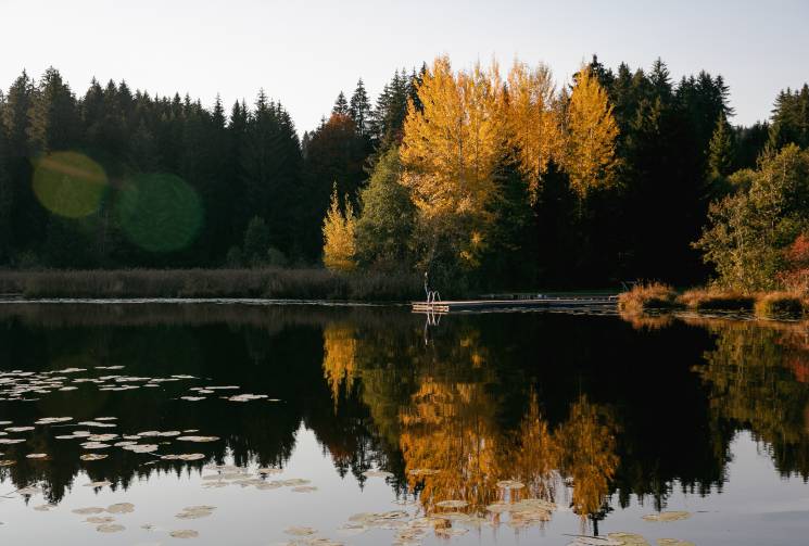 faulensee allgäu