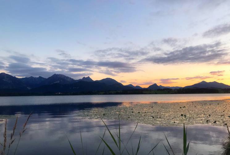 Hopfensee Allgäu