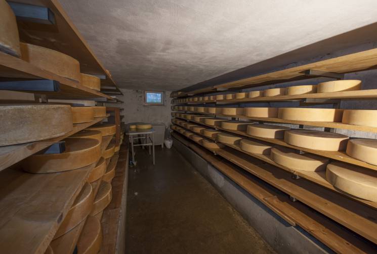 cheese factory allgäu