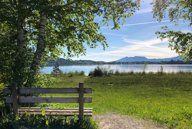 rest bank near lake on hiking trail