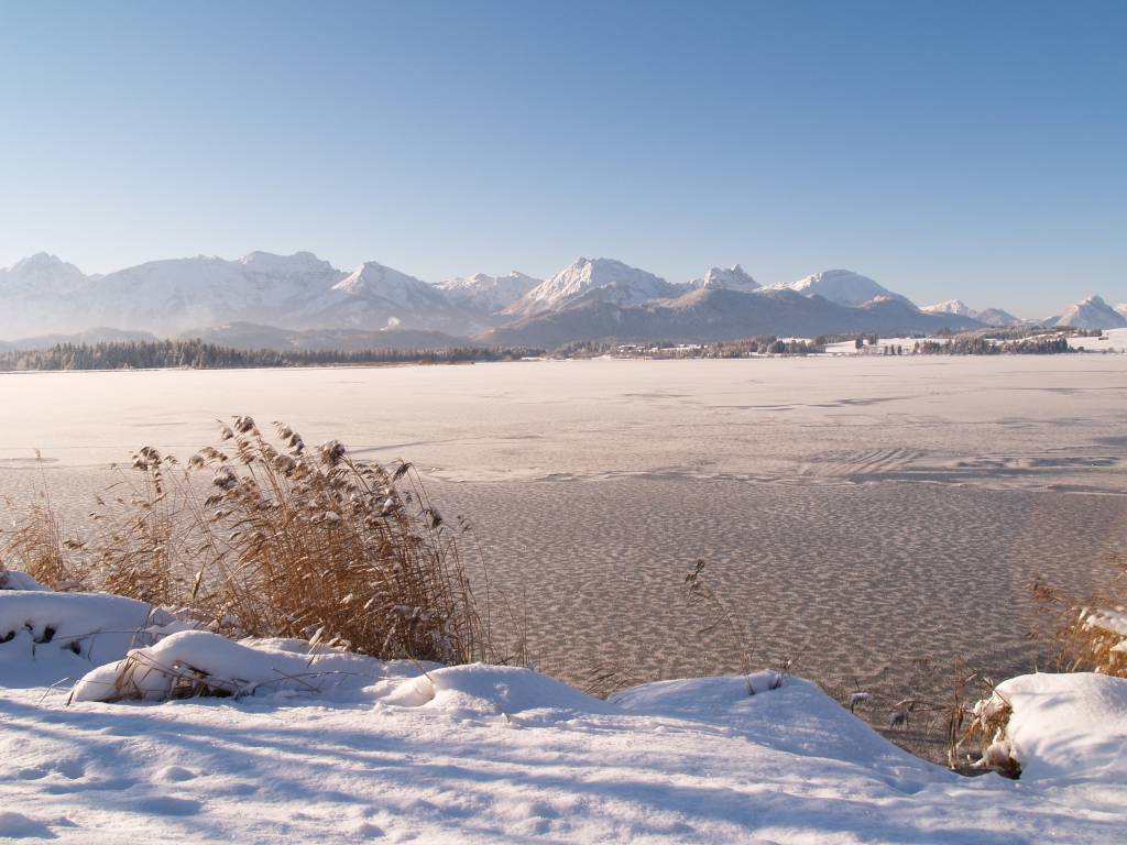Winter Naturerlebnis am Hopfensee 