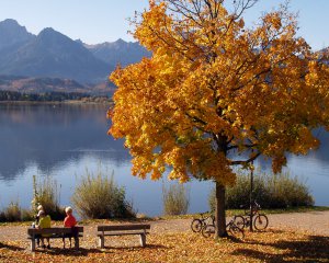 Herbst-Landschaft vor dem Hopfensee