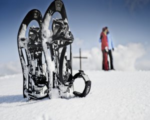 Courses & guided tours